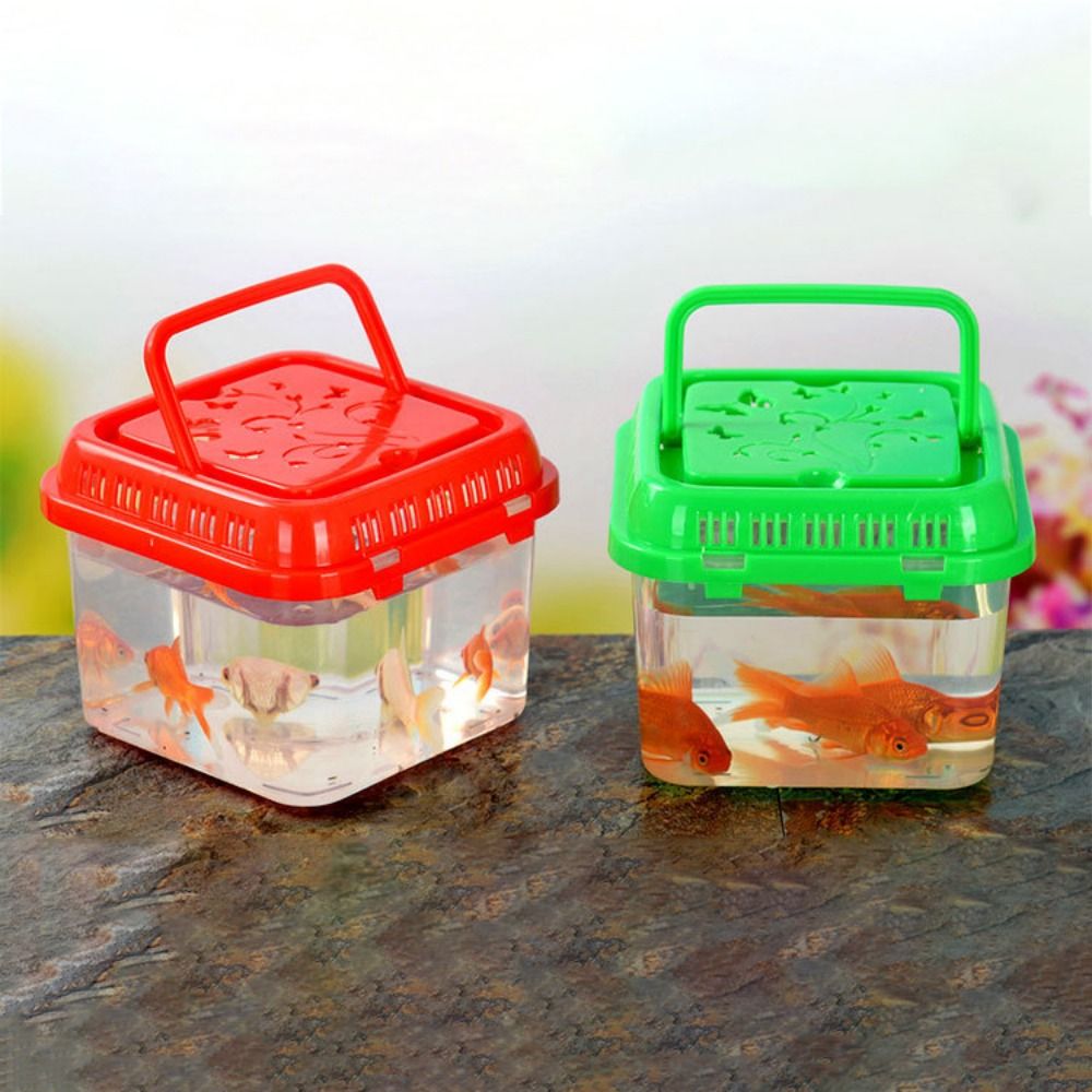 Pet Supplies Fish - Mini taşınabilir balık tankı Pet malzemeleri