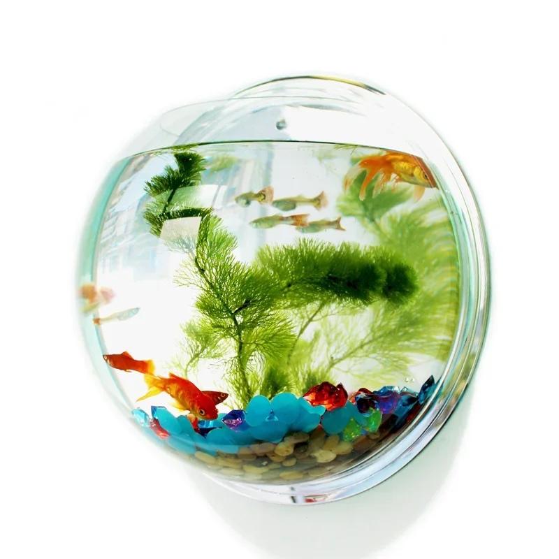 Pet Supplies Fish - Pinsjar Akrilik Balık Kase Duvar Asılı