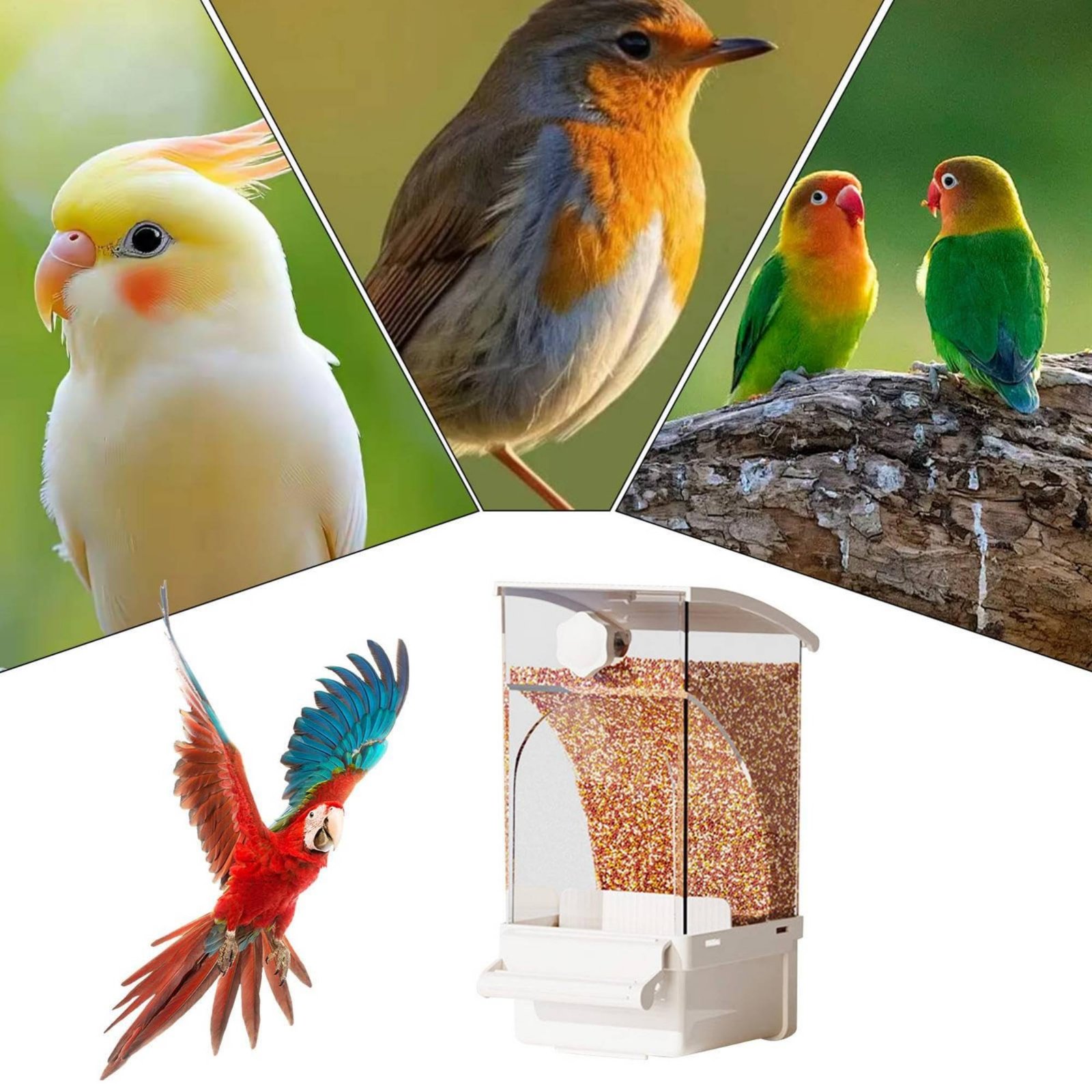 Pet Supplies Us - Otomatik Kuş Yemliği Kabuk Ayırıcı Dağınıklık