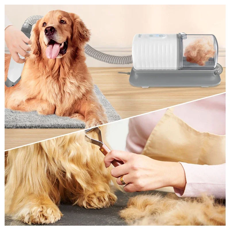 Köpek banyo fırçası seti, evci - Pet Supplies In Store incelemesi ve fiyatı