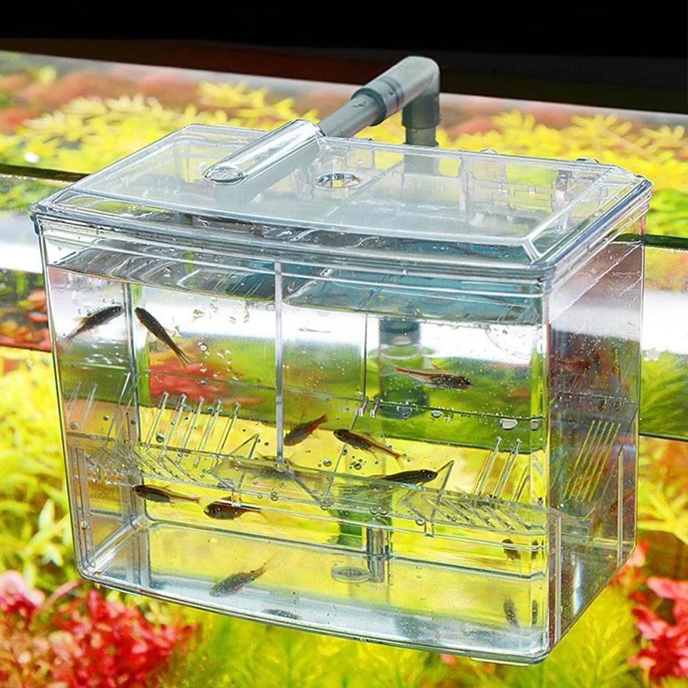 Akvaryum Balık Yetiştirme Kutu - Pet Supplies Fish incelemesi ve fiyatı