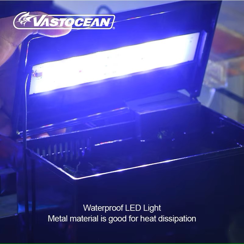 VASTOCEAN Balık Tankı Harici B - Pet Supplies Fish incelemesi ve fiyatı