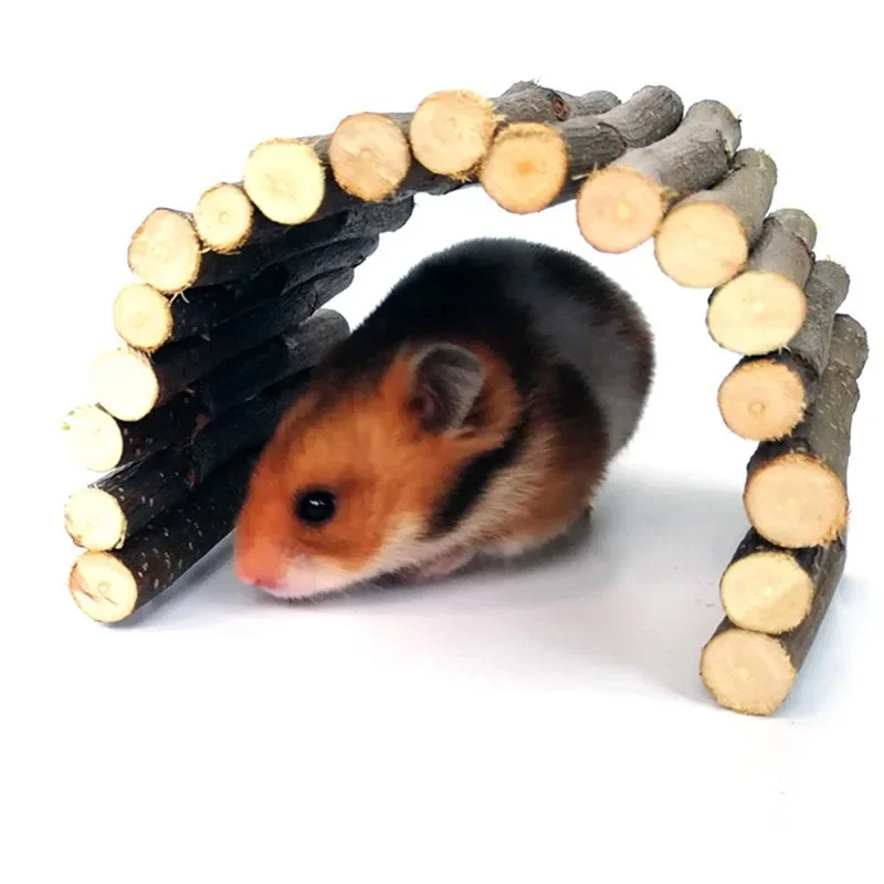 Küçük Evcil Hayvan Diş Kaşıyıc - Pet Supplies Login incelemesi ve fiyatı