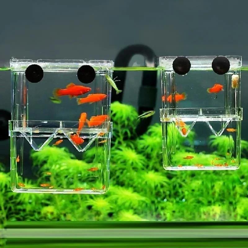 Şeffaf balık akvaryumu Yüksek  - Pet Supplies Fish incelemesi ve fiyatı