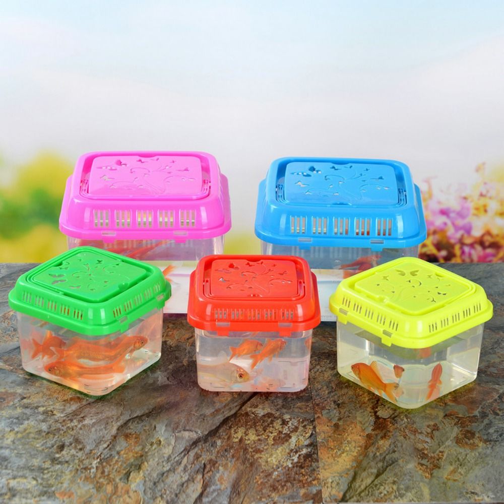 Mini taşınabilir balık tankı P - Pet Supplies Fish incelemesi ve fiyatı