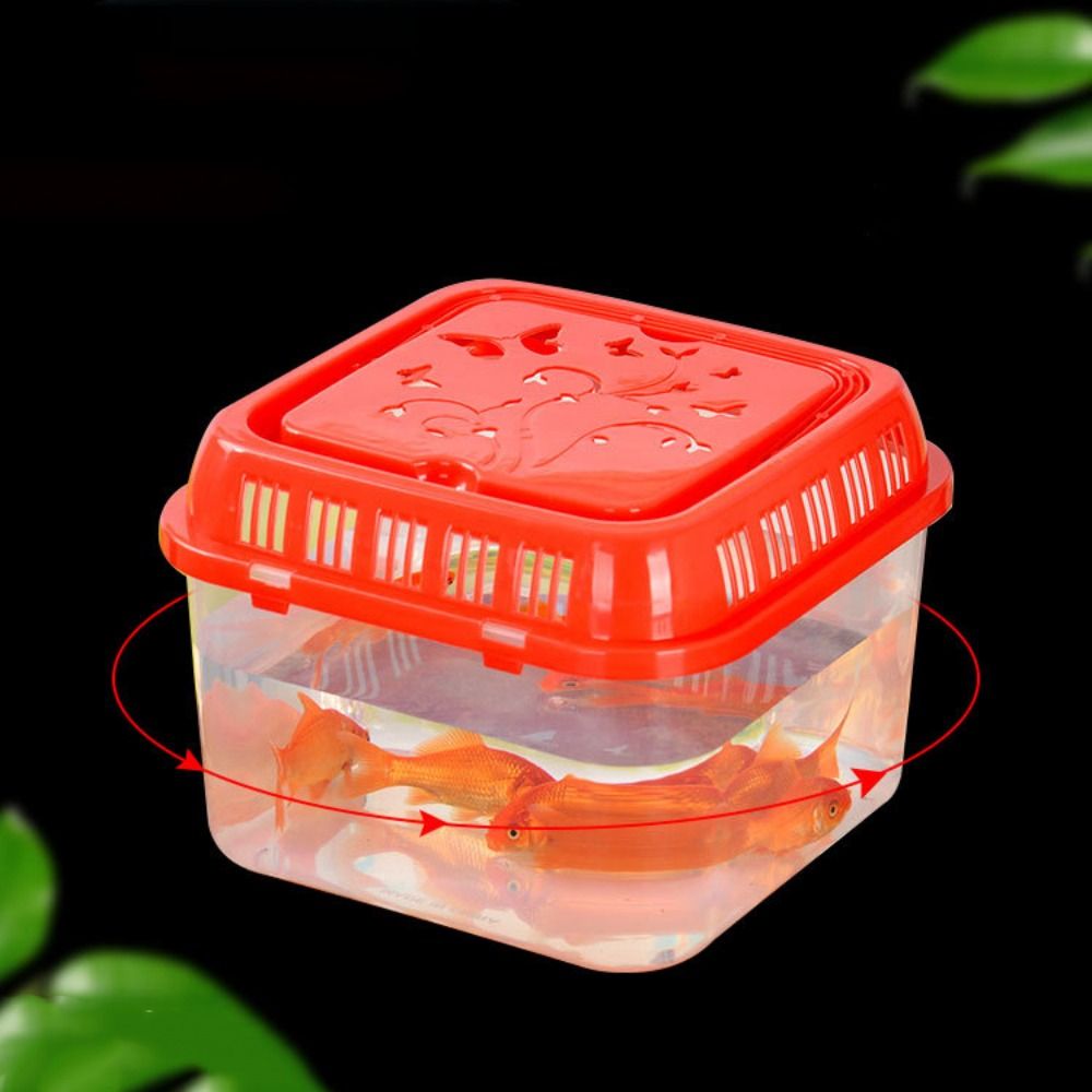 Mini taşınabilir balık tankı P - Pet Supplies Fish incelemesi ve fiyatı
