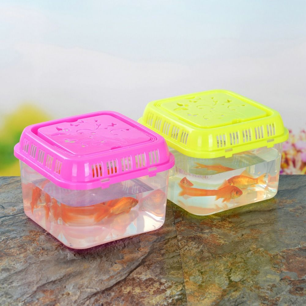 Mini taşınabilir balık tankı P - Pet Supplies Fish incelemesi ve fiyatı