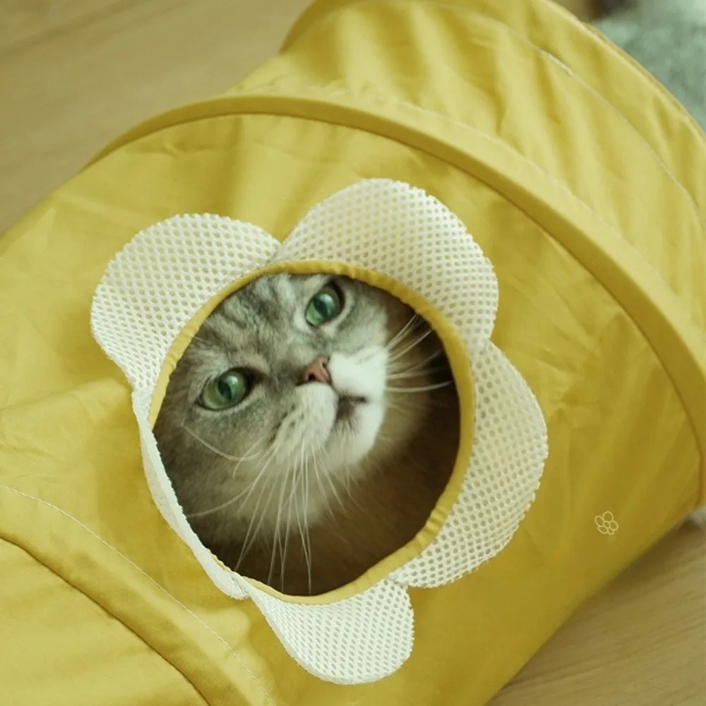 Taşınabilir Katlanabilir Spira - Pet Supplies In Store incelemesi ve fiyatı