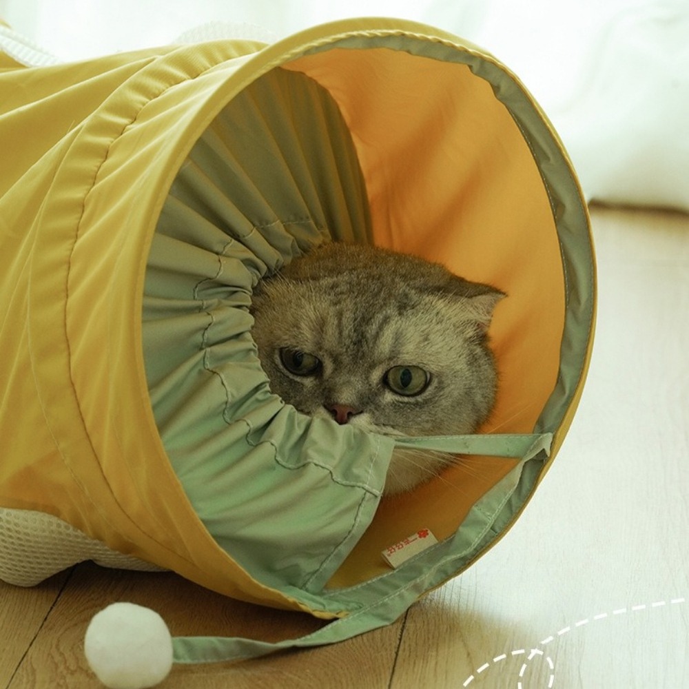 Taşınabilir Katlanabilir Spira - Pet Supplies In Store incelemesi ve fiyatı