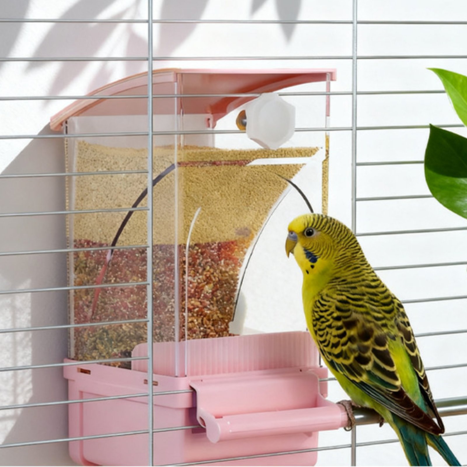 Otomatik Kuş Yemliği Kabuk Ayı - Pet Supplies Us incelemesi ve fiyatı