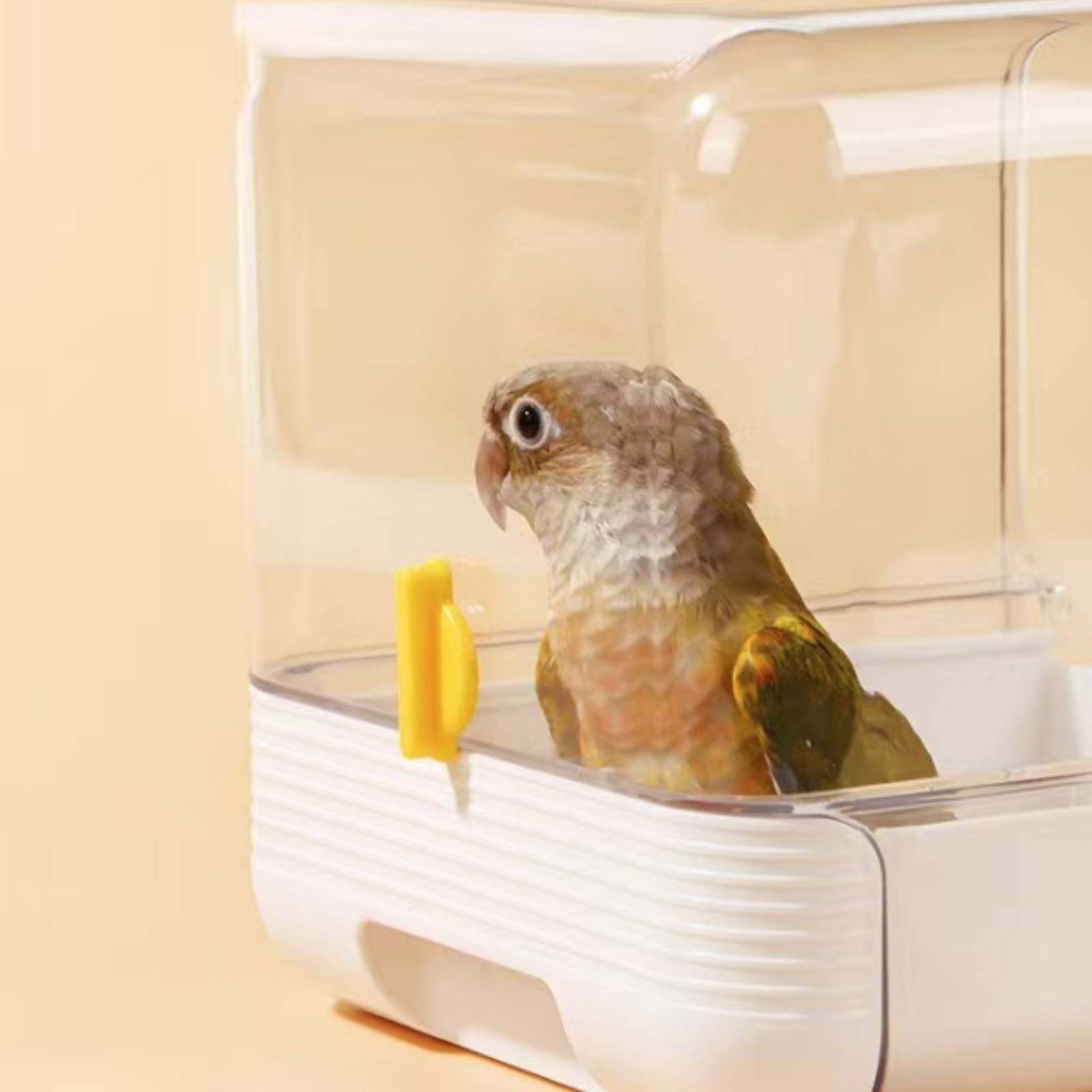 Papağan Banyo Küveti Çok Fonks - Pet Supplies Us incelemesi ve fiyatı