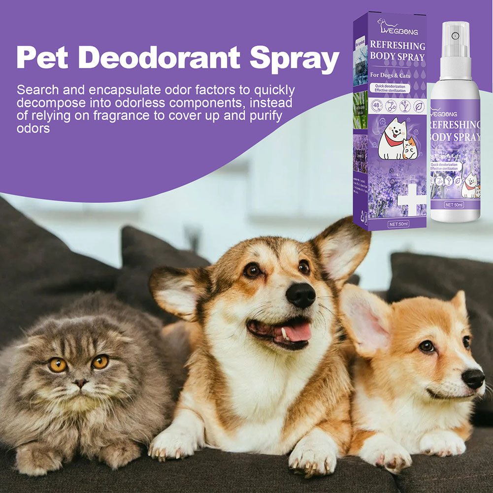 Köpek Koku Giderici Sprey Dışk - Pet Supplies In Store incelemesi ve fiyatı